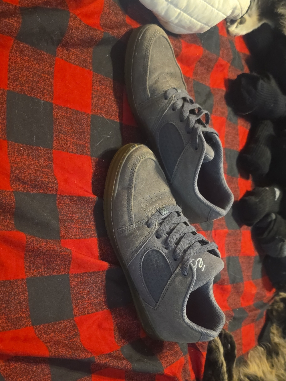 ÉS Brand Suede Grey With Clear Blue Bottoms